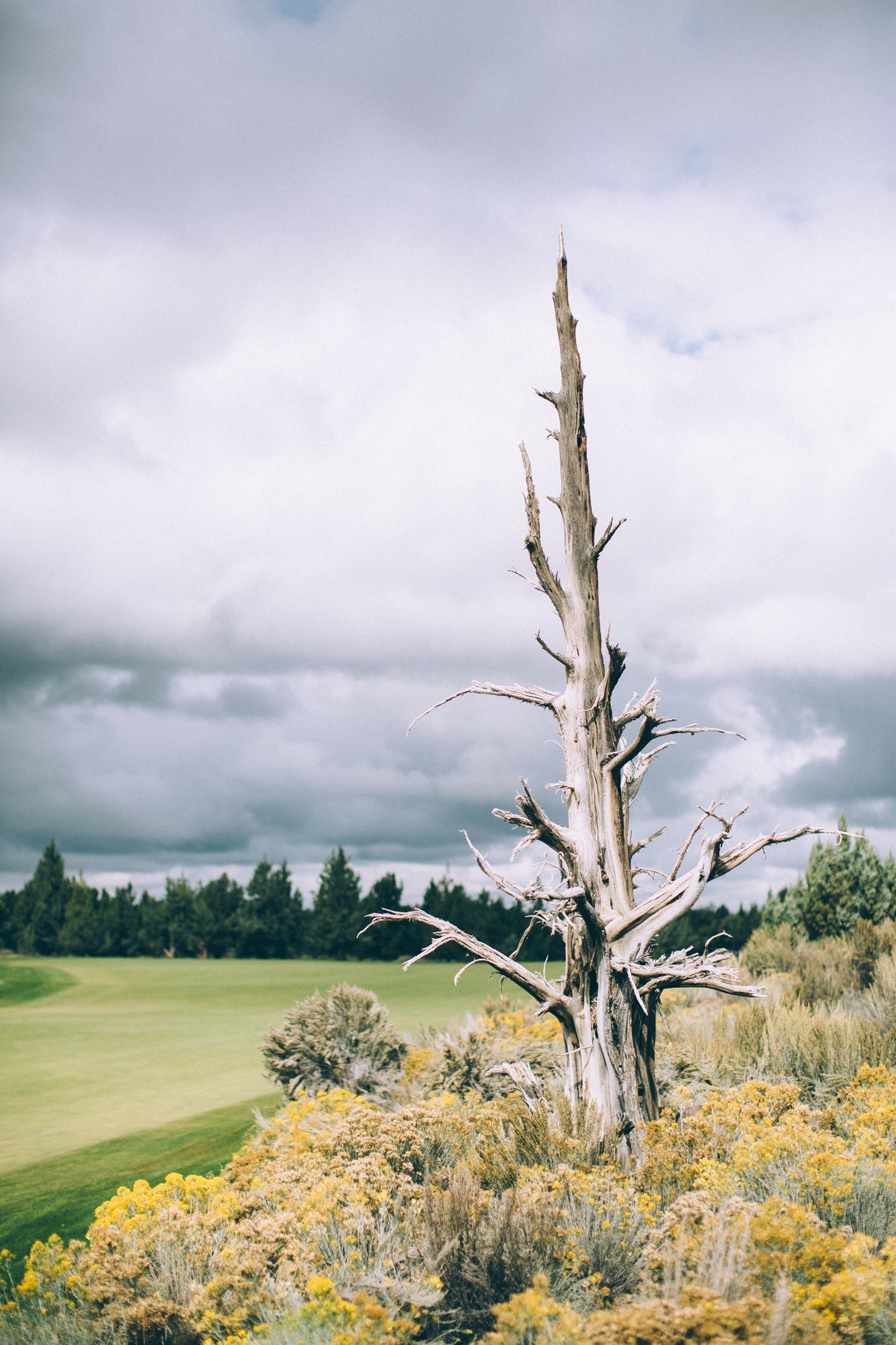 Pronghorn Golf Course Image