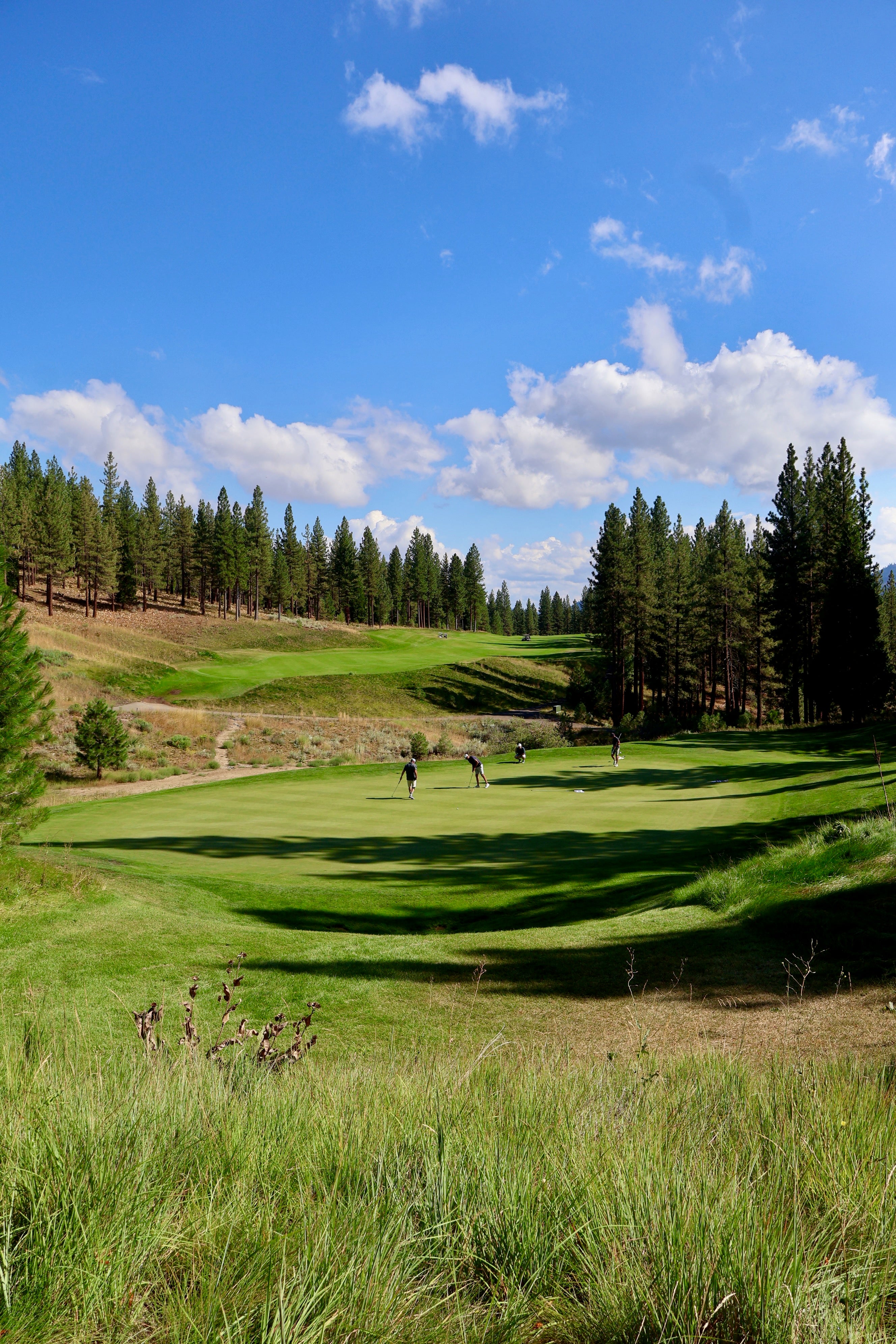 Grizzly Ranch Golf Course