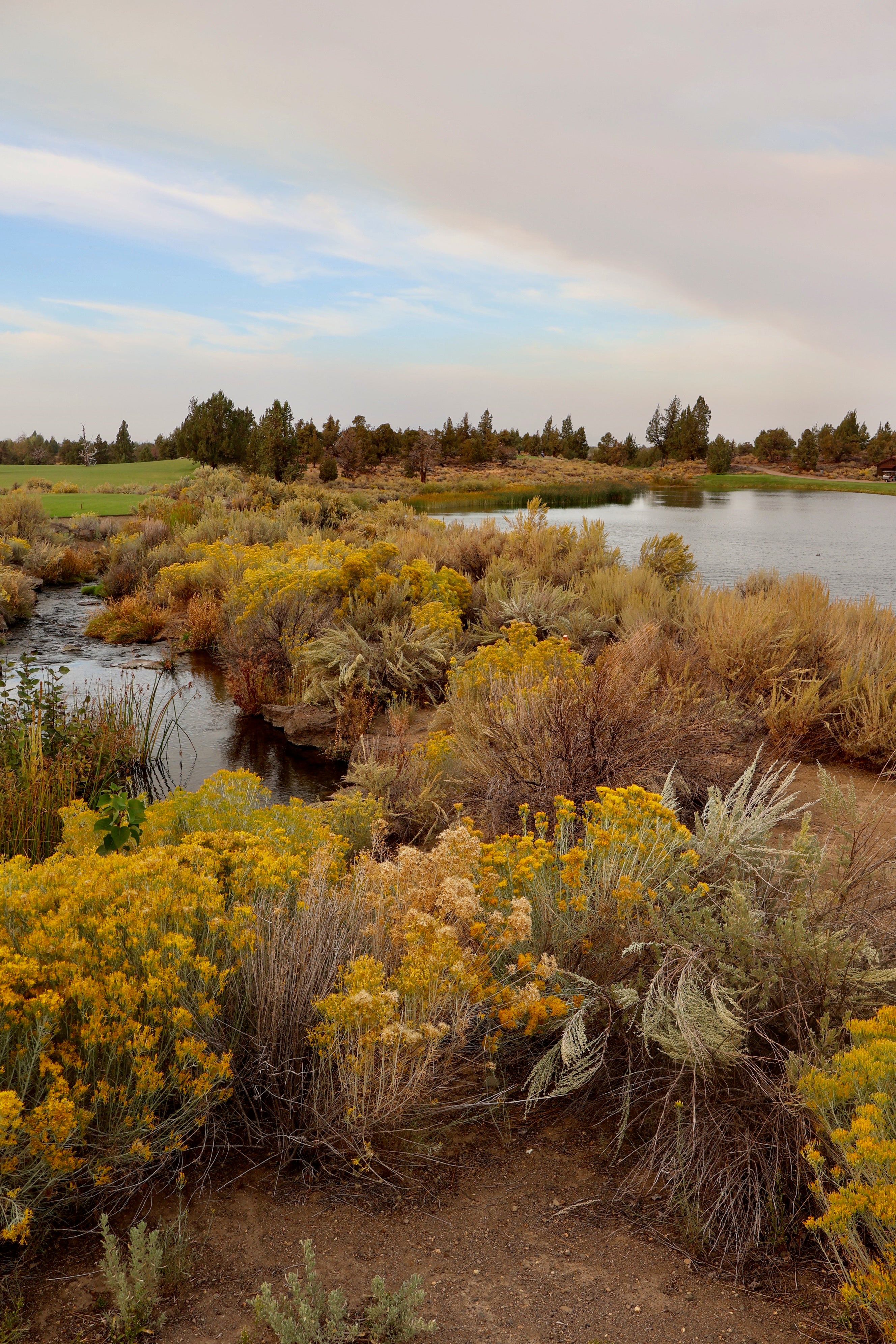 Pronghorn Golf Tournament Landscape