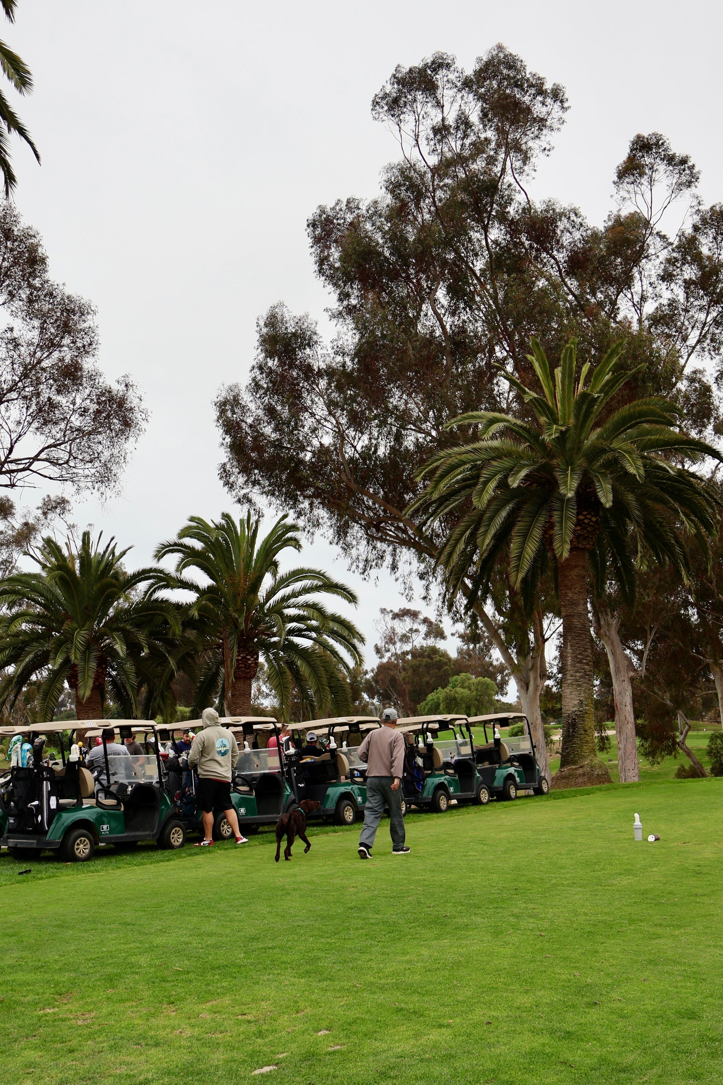 Ashworth Brothers 2MAN at Goat Hill Park – Results & Highlights