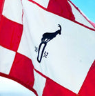 Goat Hill Park Flag